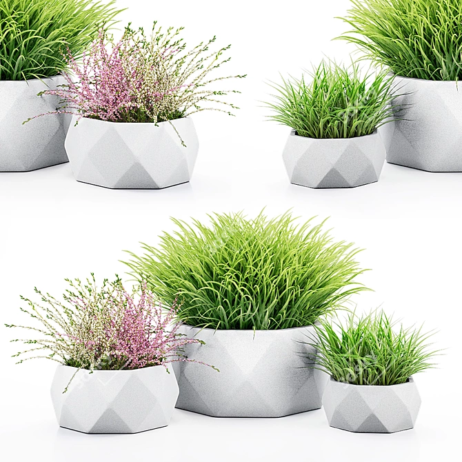 Vray Render Outdoor Plant 3D 3D model image 14