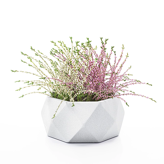 Vray Render Outdoor Plant 3D 3D model image 16