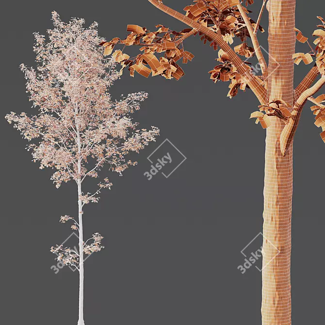 Forest Tree 3D Model Bundle 3D model image 6