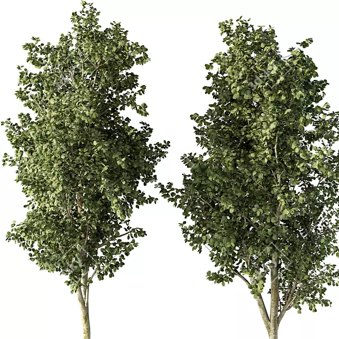  Skyline Beauty Tree Sculpture 3D model image 2