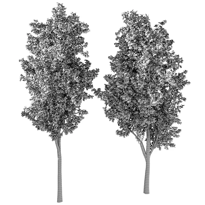  Skyline Beauty Tree Sculpture 3D model image 4