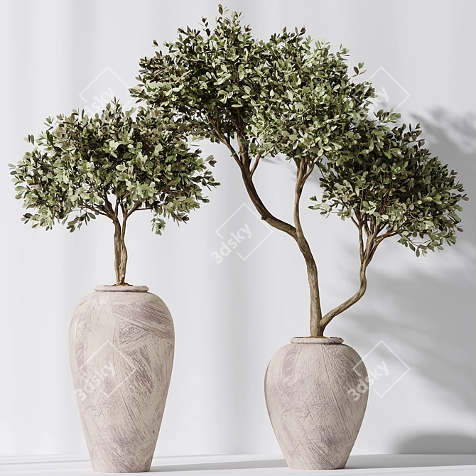 Mission Olive Tree Vase Set 3D model image 4