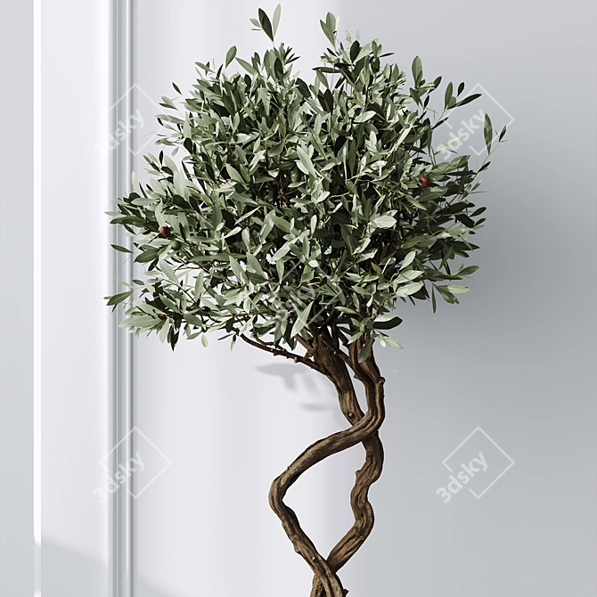 Mission Olive Tree Vase Set 3D model image 5