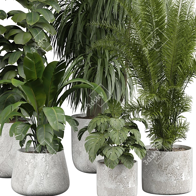 Modern Indoor Plant 3D Model 3D model image 2