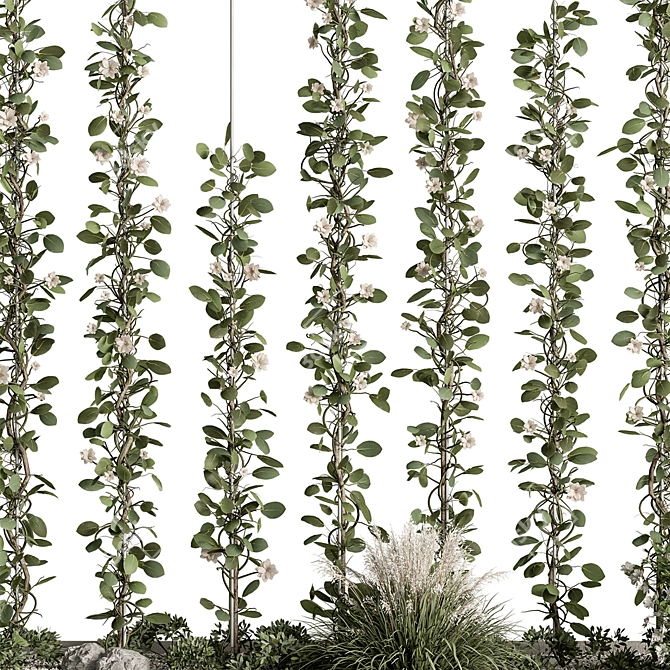 Outdoor Plant Garden Assorted Selection 3D model image 4