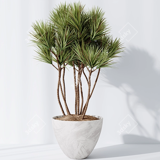 Yucca Olive Indoor Vase Bundle 3D model image 4