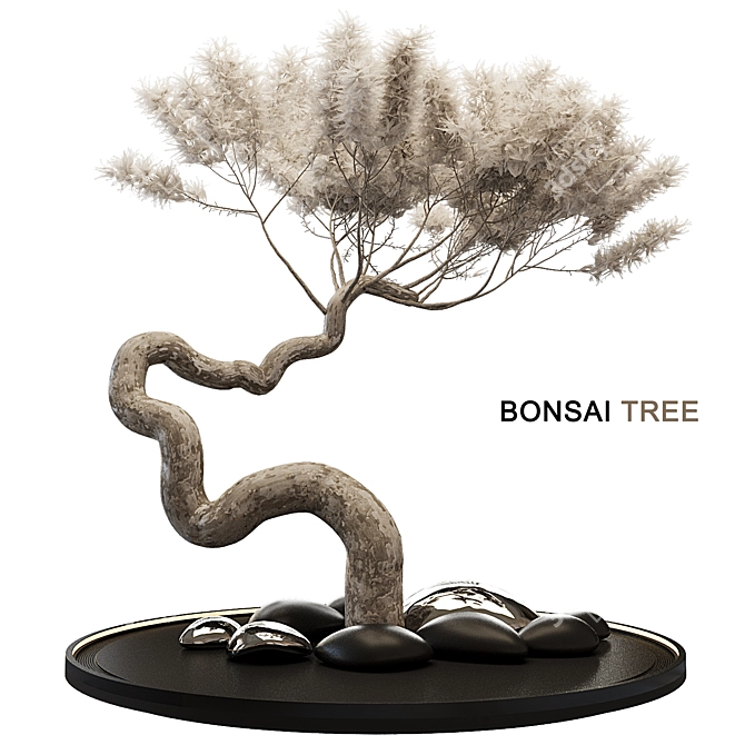 Artistic Bonsai Tree Model 3D model image 1