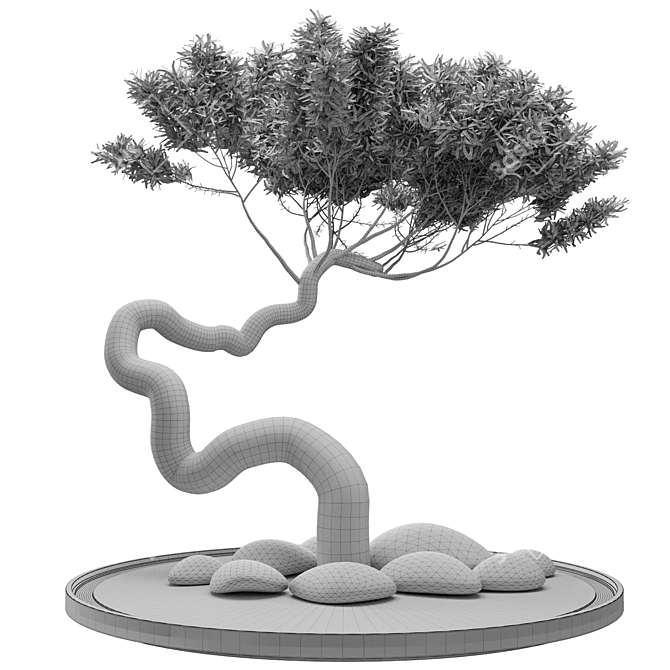 Artistic Bonsai Tree Model 3D model image 3