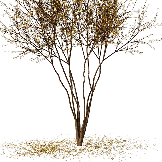 Autumn Leaf Tree Model 3D 3D model image 2