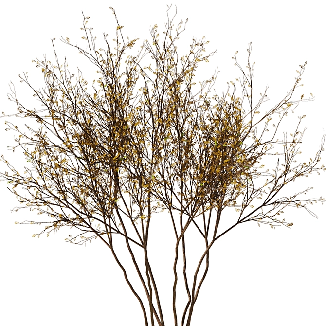 Autumn Leaf Tree Model 3D 3D model image 3