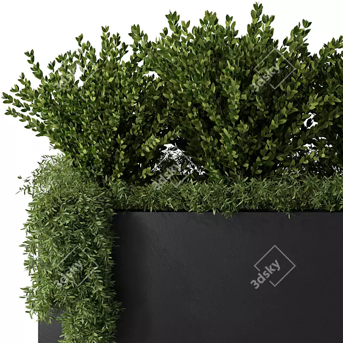 Extra-Large Outdoor Plants No.38 3D model image 2