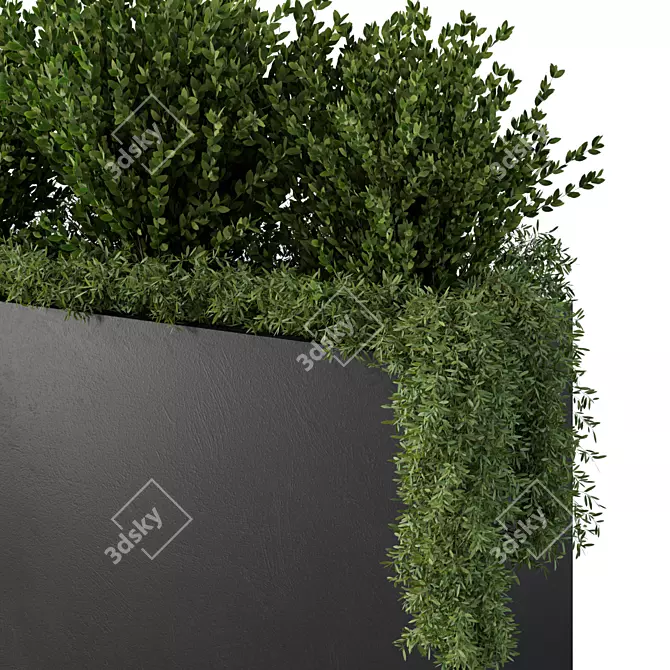 Extra-Large Outdoor Plants No.38 3D model image 3