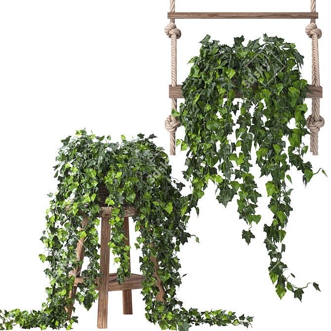 Vintage Ivy Plant Decor Set 3D model image 2