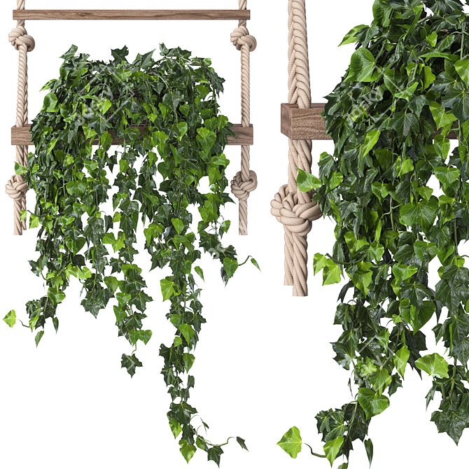 Vintage Ivy Plant Decor Set 3D model image 5