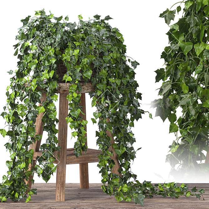 Vintage Ivy Plant Decor Set 3D model image 6