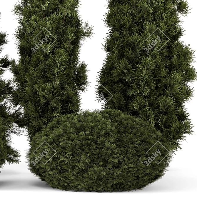 Outdoor Pine Tree Bush Model 3D model image 5