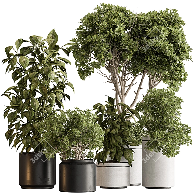 Botanical Elegance: Indoor Tree Display 3D model image 1