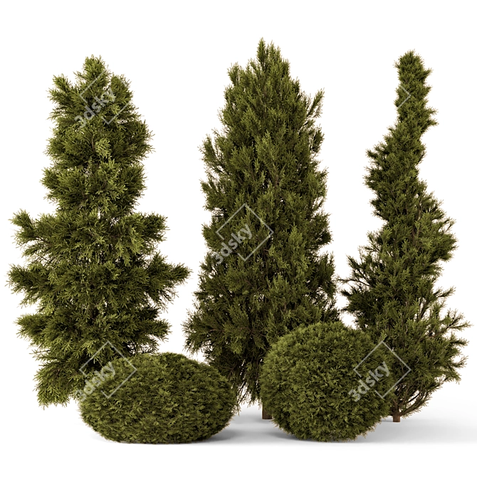 Outdoor Pine Bush Tree Set 3D model image 1