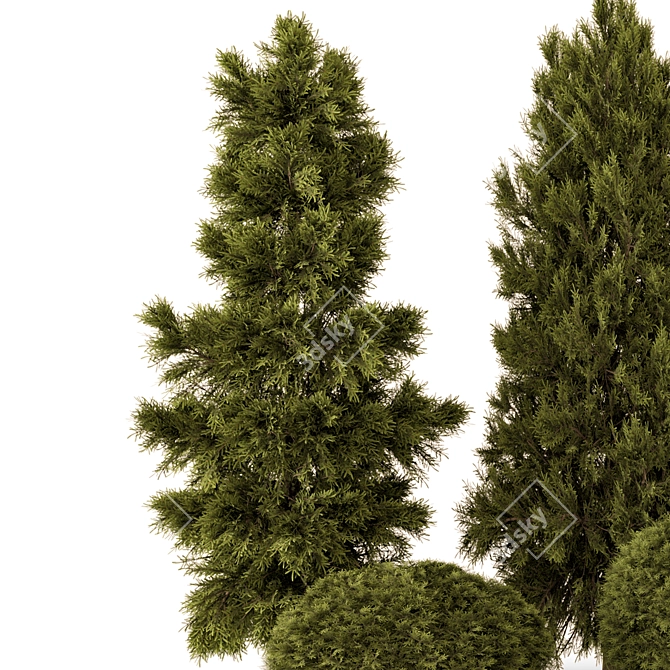 Outdoor Pine Bush Tree Set 3D model image 2