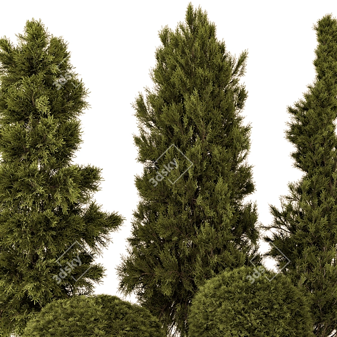 Outdoor Pine Bush Tree Set 3D model image 3