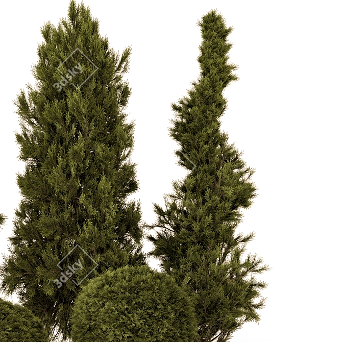 Outdoor Pine Bush Tree Set 3D model image 4