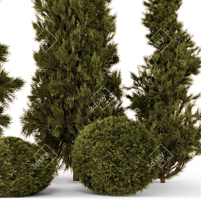 Outdoor Pine Bush Tree Set 3D model image 5