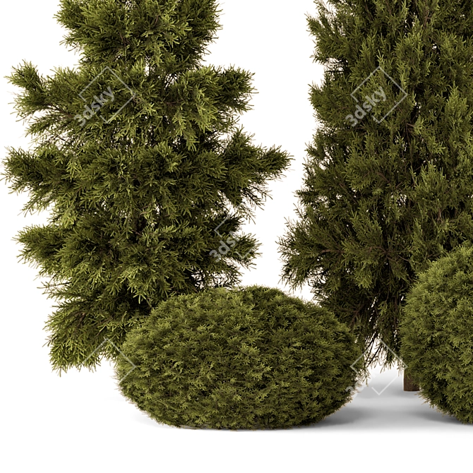 Outdoor Pine Bush Tree Set 3D model image 6