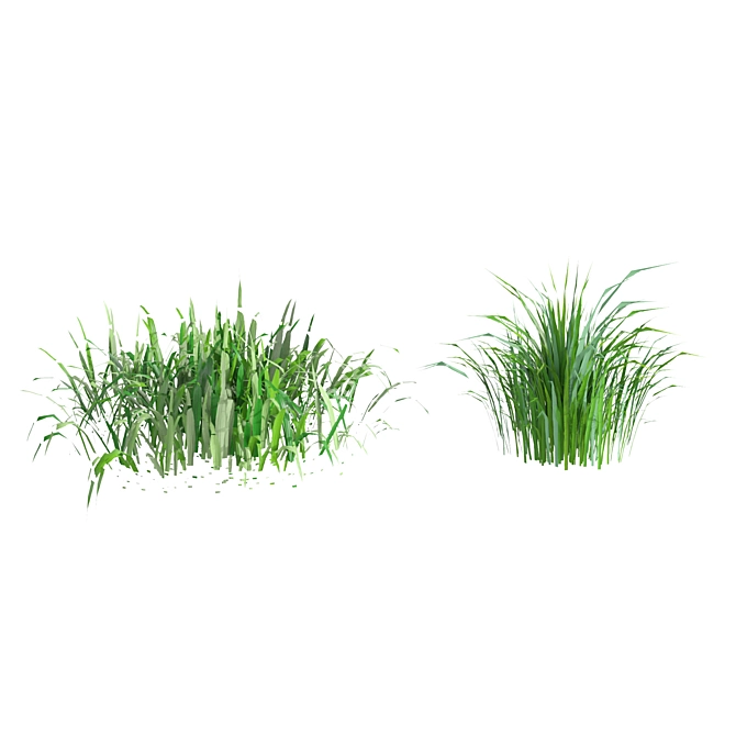 Lush Meadow 3D Grass Model 3D model image 3