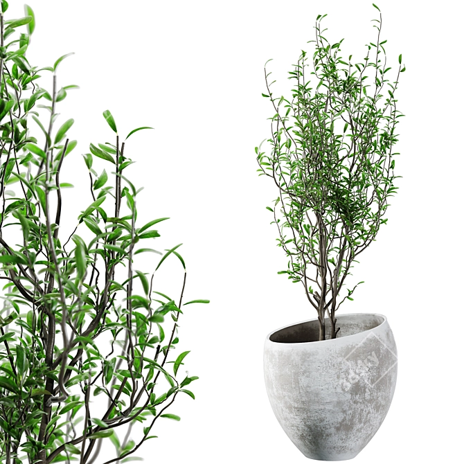 Concrete and Plaster Potted Live Plant 3D model image 1