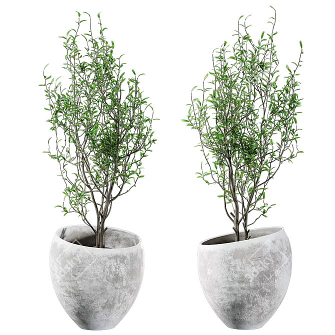 Concrete and Plaster Potted Live Plant 3D model image 2