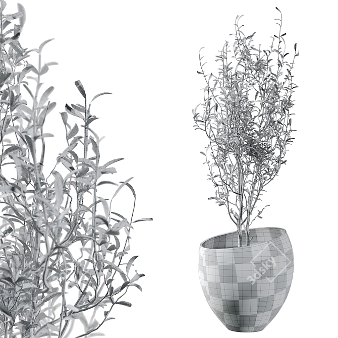 Concrete and Plaster Potted Live Plant 3D model image 4