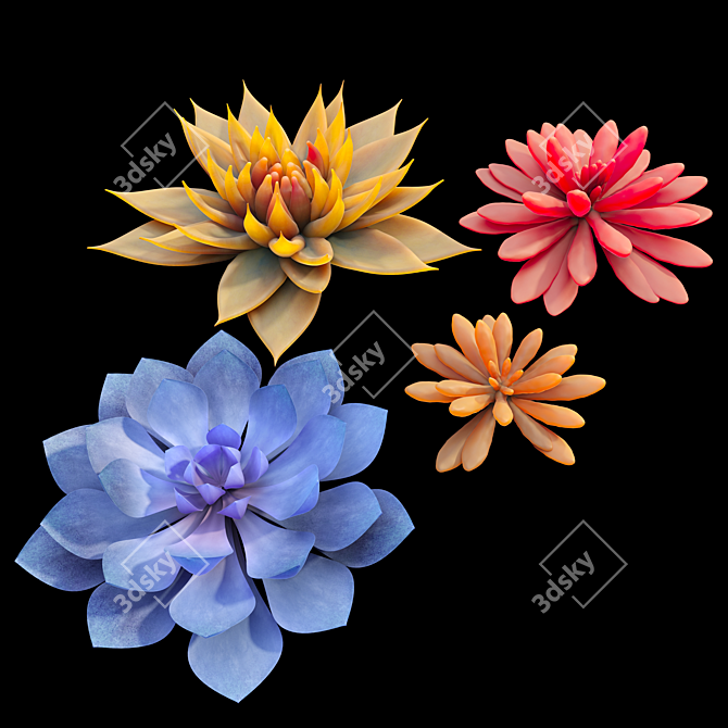 Six Succulent Plants Collection 3D model image 3