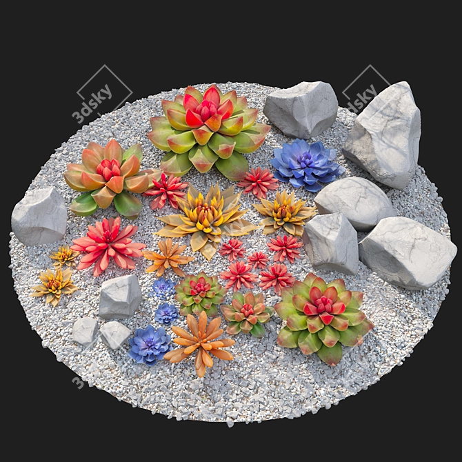 Six Succulent Plants Collection 3D model image 4