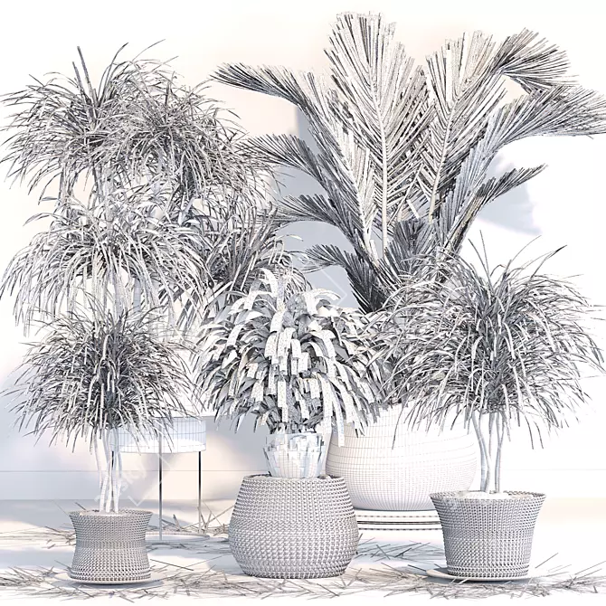 Tropical Palm Plant Collection 3D model image 6