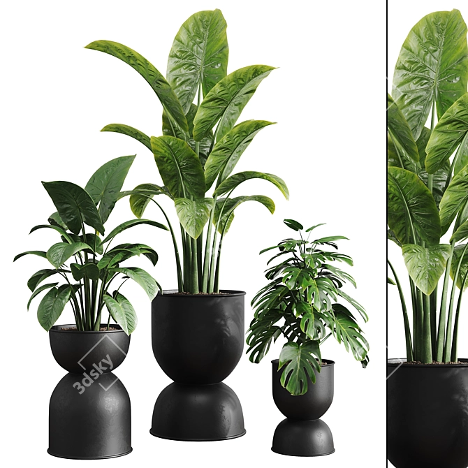 Vibrant Indoor Plants Collection 3D model image 1