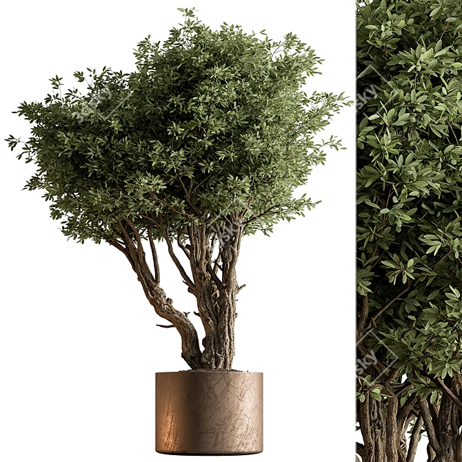 Potted Tree: Indoor Plant 619 3D model image 1