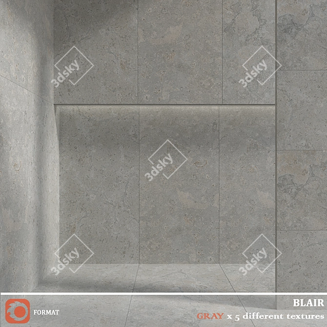 BLAIR Graphite Silver Noce White 3D model image 2