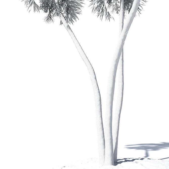 Tropical Palm Tree 3D Model 3D model image 6