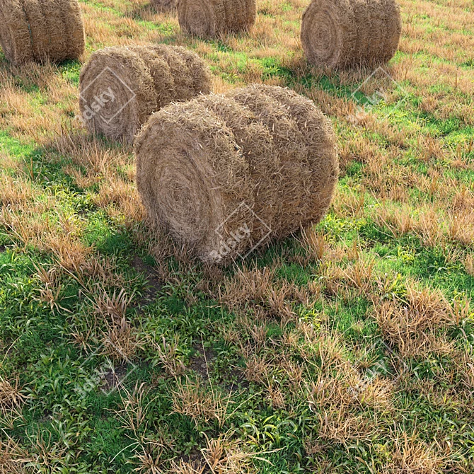 Rustic Farm Field Environment 3 3D model image 1