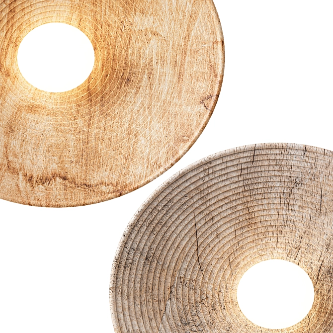 Zen Circle Wall Light 3D model image 3