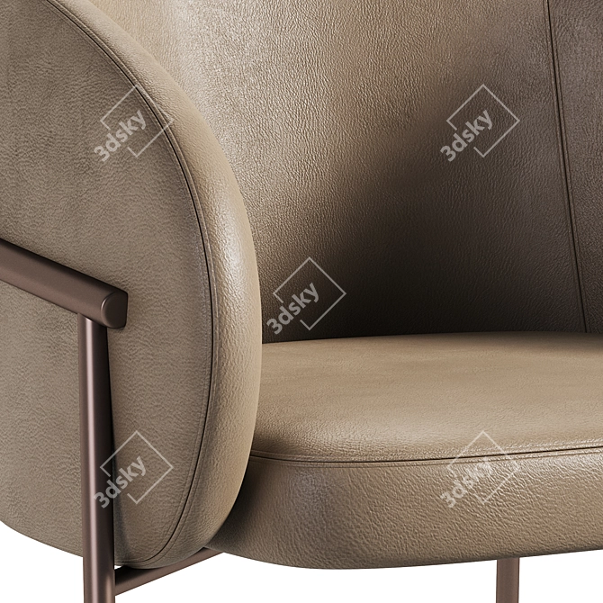 Rimo Leather Chair by Parla 3D model image 3