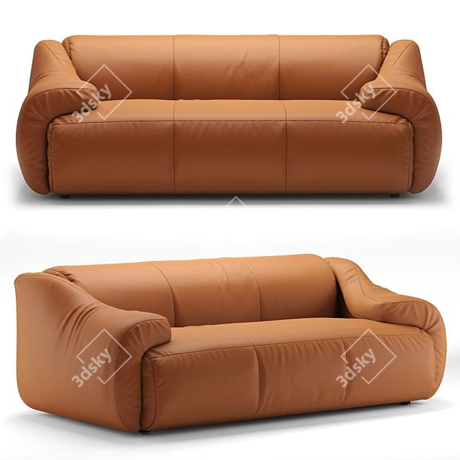 Luxury De Sede DS-705 Sofa 3D model image 1