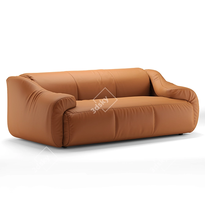 Luxury De Sede DS-705 Sofa 3D model image 2