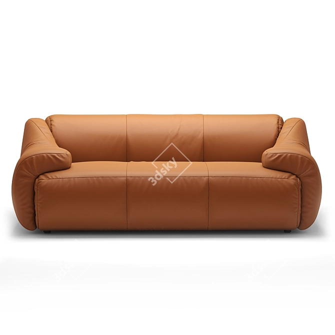 Luxury De Sede DS-705 Sofa 3D model image 3