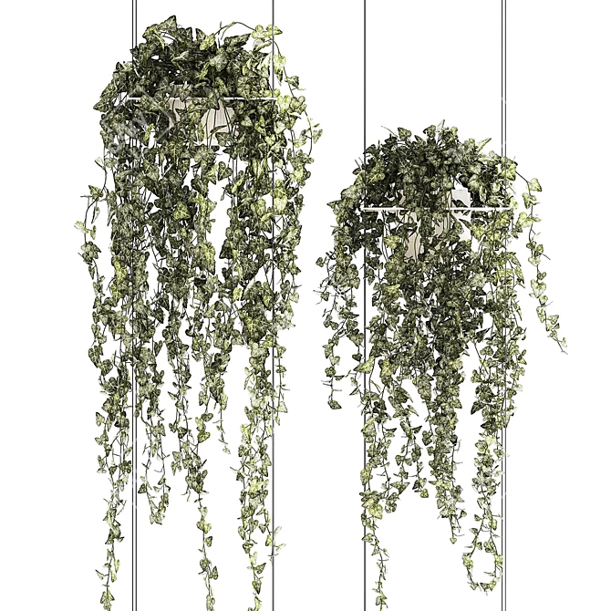 Hedera Ivy Collection Hanging Vertical Garden 3D model image 2