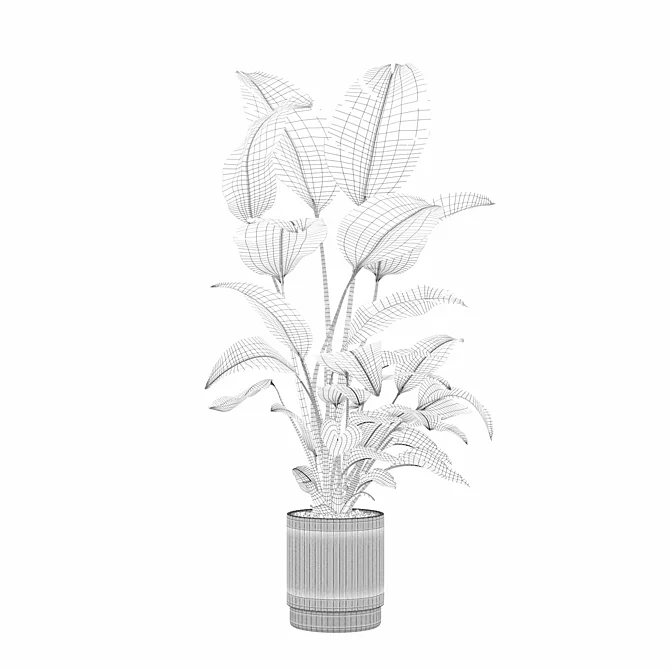 Strelitzia 09 in Beige Pot 3D model image 5