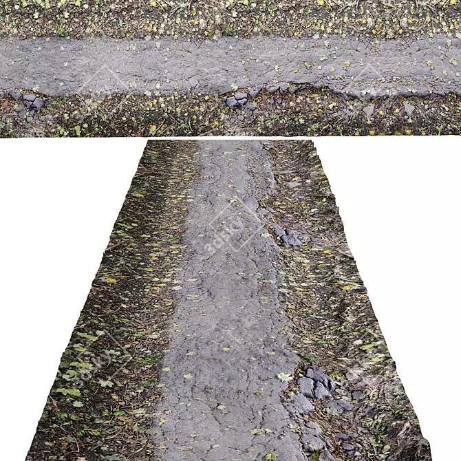 Seamless Asphalt Forest Path 3D model image 1