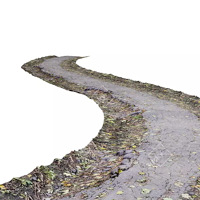 Seamless Asphalt Forest Path 3D model image 3