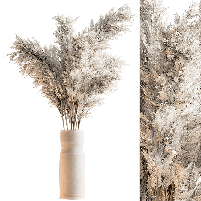 Pampas Dry Plants 106 3D model image 1