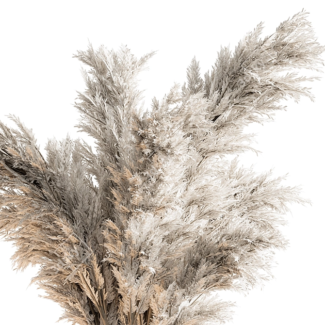 Pampas Dry Plants 106 3D model image 2